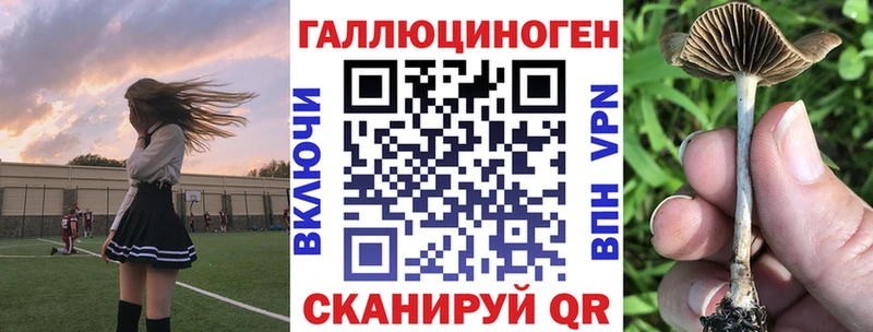 мега рабочий сайт  Саратов  Галлюциногенные грибы Psilocybe 